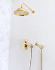 RegalFlow Shower Set