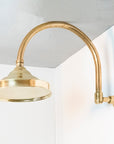 GoldAura Shower System