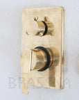 RegalFlow Shower Set