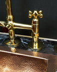 AuraPure Kitchen faucet