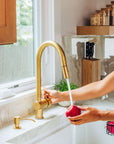 Unlacquered Brass Pull-Down Kitchen Faucet