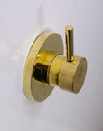 Brass shower – Antique Brass Shower Fixtures