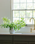 Unlacquered Brass Kitchen Faucet with Sprayer