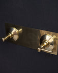 Charm Brass Shower Set