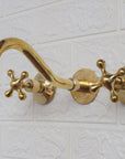 Unlacquered Brass Cobra Faucet