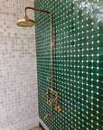 Cooper Shower System