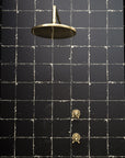 Luxury Shower Swivel