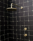 Luxury Shower Swivel