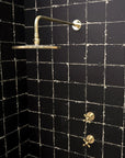 Luxury Shower Swivel