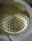 Unlacquered Brass Head Shower With Swivel Connector