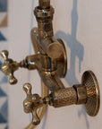 RegalBrass Shower Set