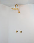 Rainfall Brass Shower System With Victorian Arm