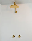 Rainfall Brass Shower System With Victorian Arm