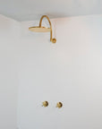 Rainfall Brass Shower System With Victorian Arm