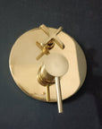 Unlacquered Brass Concealed Shower with cross handle