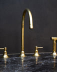 Unlacquered Brass Gooseneck Deck Mounted Kitchen Faucet