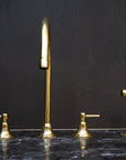 Unlacquered Brass Gooseneck Deck Mounted Kitchen Faucet