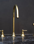 Unlacquered Brass Gooseneck Deck Mounted Kitchen Faucet