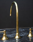 Unlacquered Brass Gooseneck Deck Mounted Kitchen Faucet