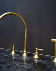 Unlacquered Brass Gooseneck Deck Mounted Kitchen Faucet