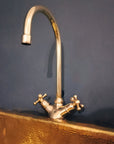 Brass Gooseneck Faucet