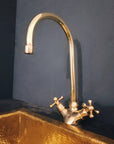 Brass Gooseneck Faucet