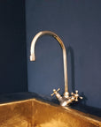 Brass Gooseneck Faucet