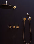 Unlacquered Brass Shower SetHead And handheld Set