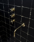 Unlacquered Brass Solid Brass Shower Head And Tub Filller