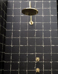 Unlacquered Brass Solid Brass Shower Head With Curved Arm