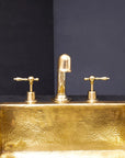 Unlacquered Brass Widespread Prep Sink Faucet