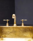 Unlacquered Brass Widespread Prep Sink Faucet