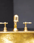 Unlacquered Brass Widespread Prep Sink Faucet