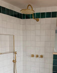 Unlacquered Brass Shower System